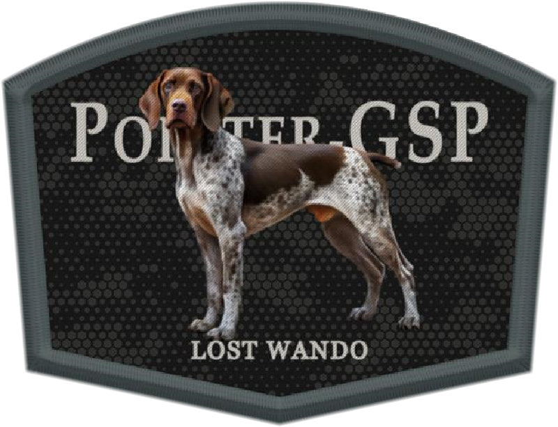 Pointer GSP Color Patch Charcoal/Black Richardson 112 Snapback Trucker ...