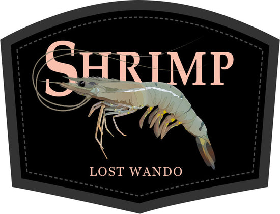 Shrimp Color Patch - Brown-Sand Rope Richardson 930 Hat Lost Wando Outfitters
