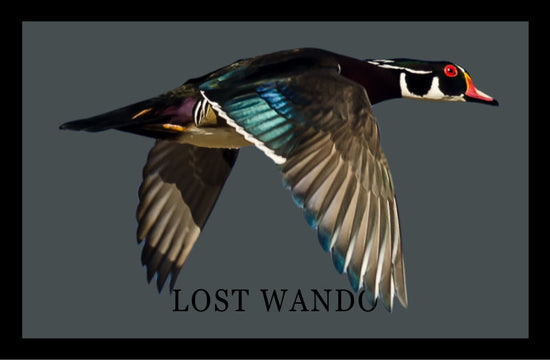 Wood Duck -Color Sublimated patch -Charcoal-Black Richardson 112 Hat Lost Wando Outfitters