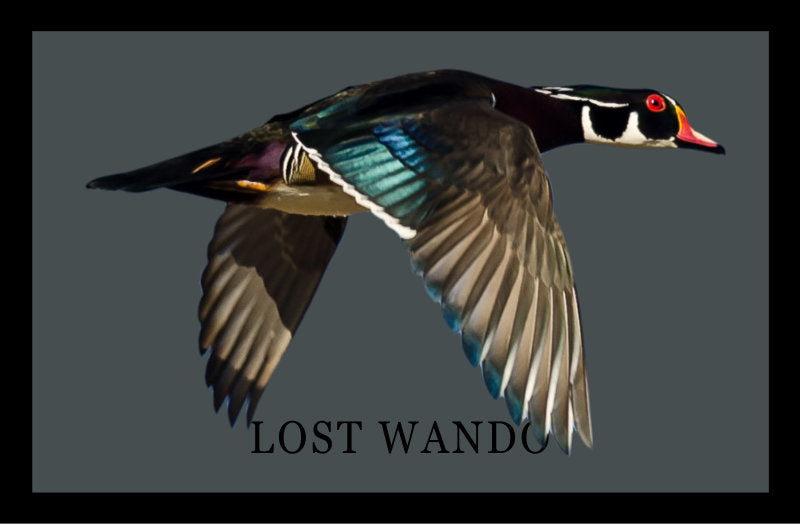 Wood Duck Color Patch -Birch with Black Rope 256 Umpqua Flat Bill Richardson Hat Lost Wando Outfitters